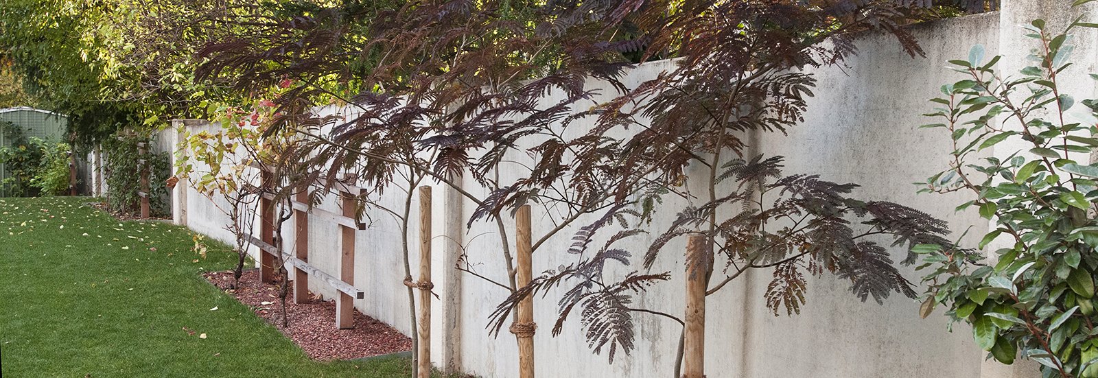 Gartengestaltung Gartengestaltung