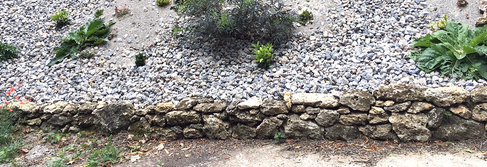 Gartengestaltung Gartengestaltung