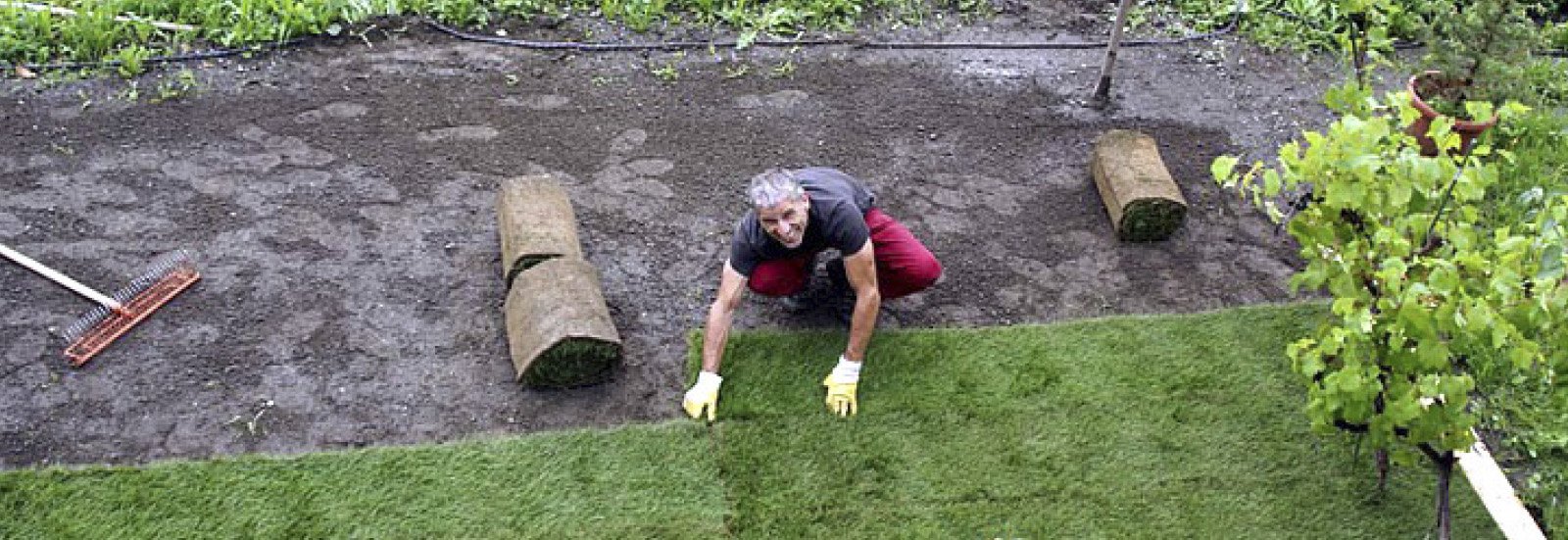 Rollrasenverlegung Rollrasenverlegung