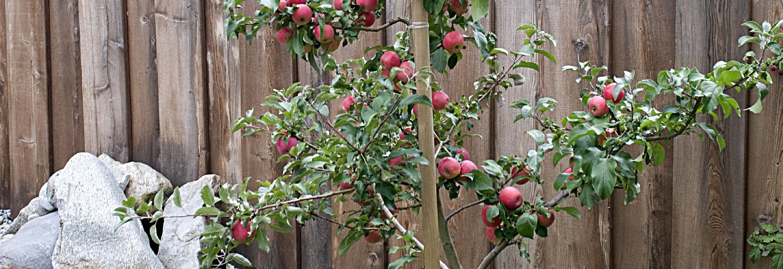 grünräume grünräume