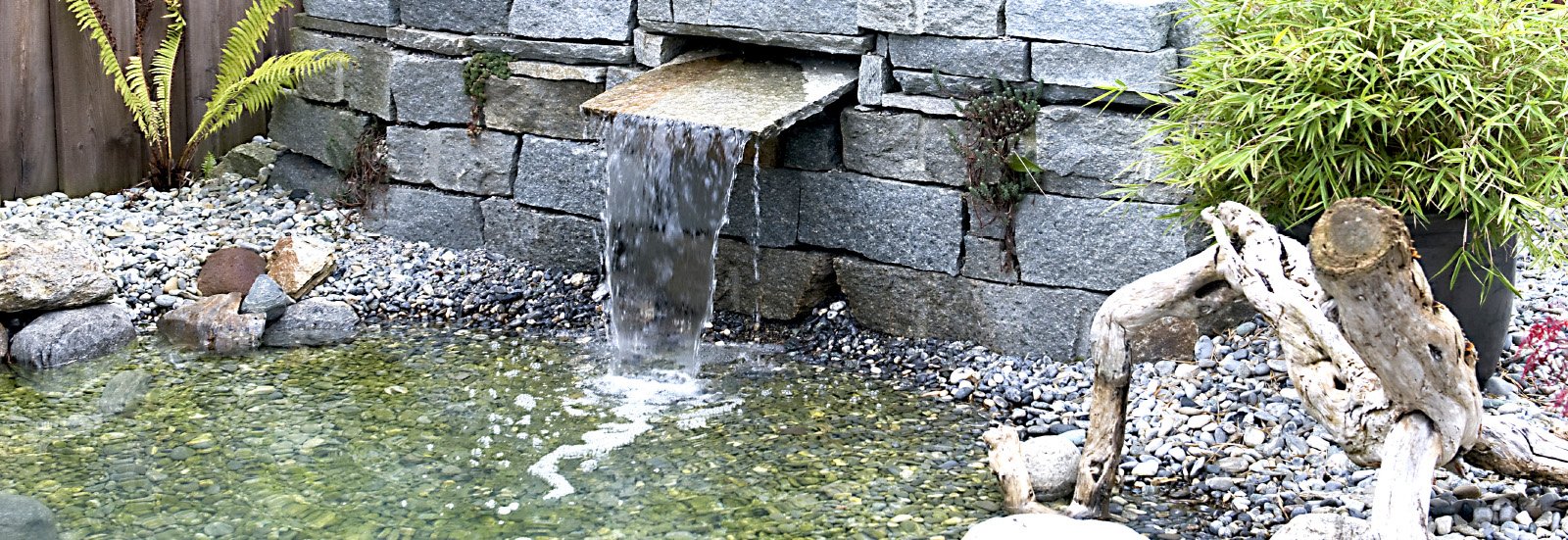 Naturteich Naturteich