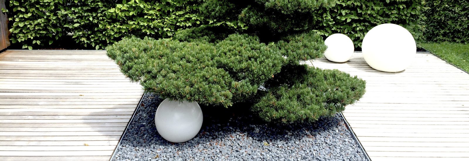 Terrassenbegrünung Terrassenbegrünung