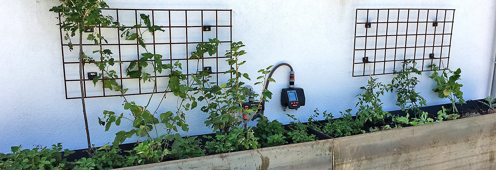 Terrassenbegrünung Terrassenbegrünung